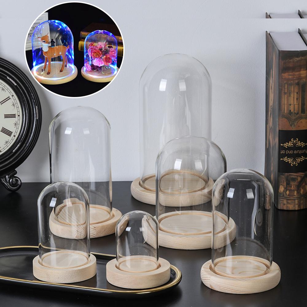 Ev Dekor Bitkileri Kavanoz Ter - Vase Decor incelemesi ve fiyatı