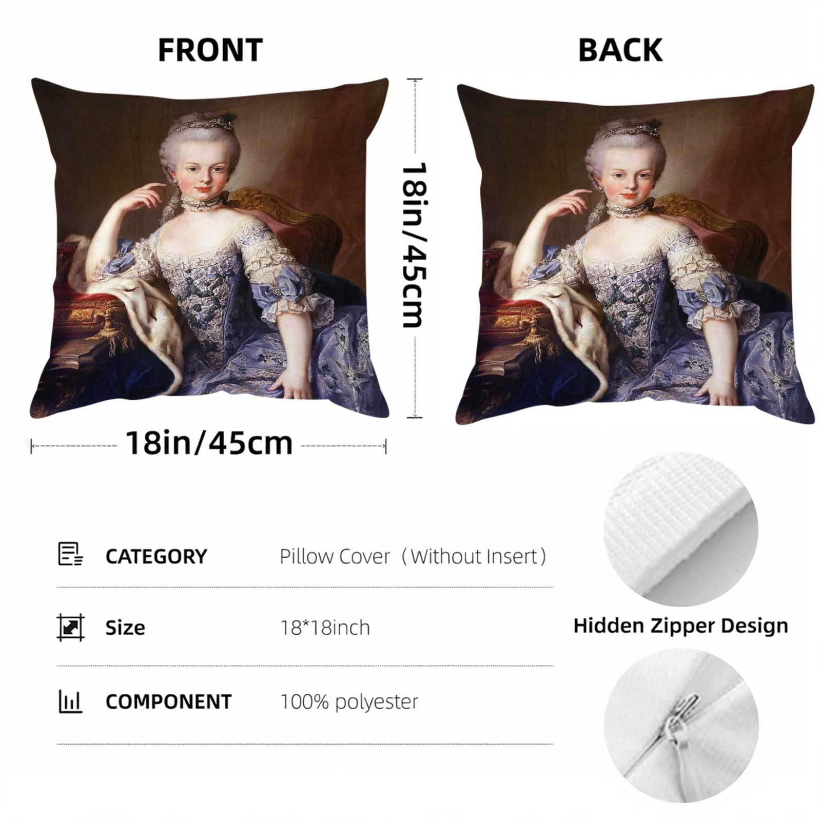 Marie Antoinette Desenli, Çift - Throw Pillow incelemesi ve fiyatı
