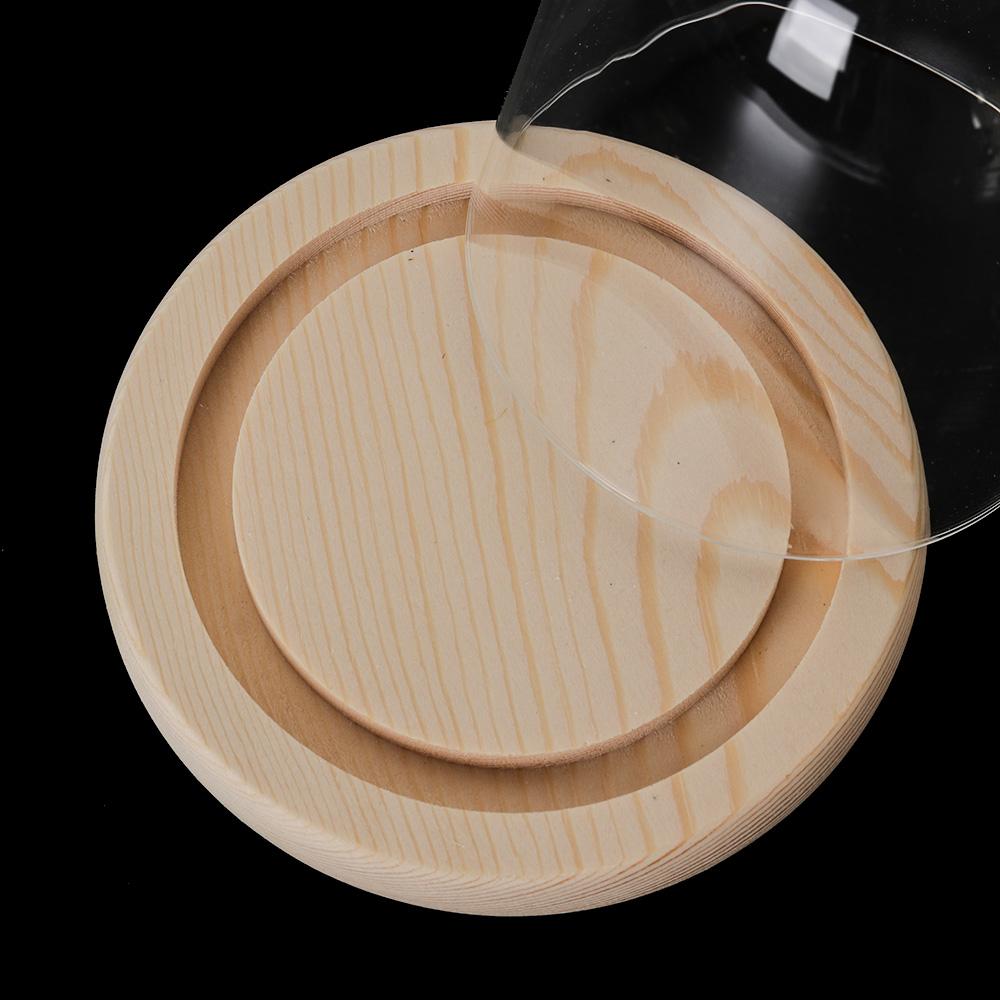Peri Işıkları Ev Dekorasyonu T - Vase Decor incelemesi ve fiyatı