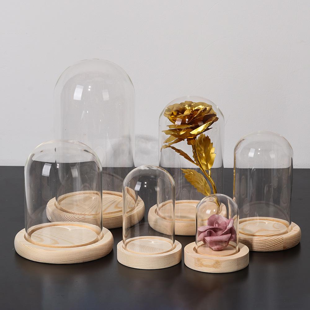 Peri Işıkları Ev Dekorasyonu T - Vase Decor incelemesi ve fiyatı